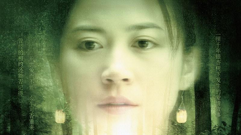 俞飞鸿|俞飞鸿借钱拍摄《爱有来生》，大胆启用段奕宏，仅收获200万票房