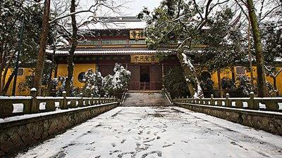 飞来峰|?来看看闹中取静的灵隐寺，这绿树成荫，溪水潺潺