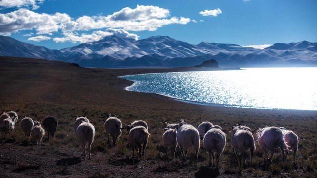 西藏|两万多人报名阿里邮政局公务员，堪称万里挑一，最后谁被录取了？