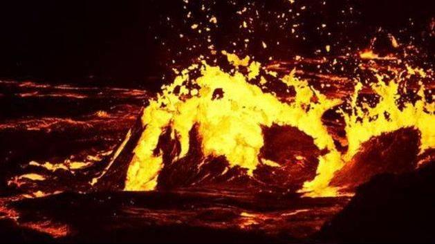 地球上最耐热的动物，把“火山”当游泳池！