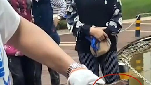 鳄雀鳝|鳄雀鳝的好日子到头了，云南钓鱼人3分钟钓一条，网友：有天敌了