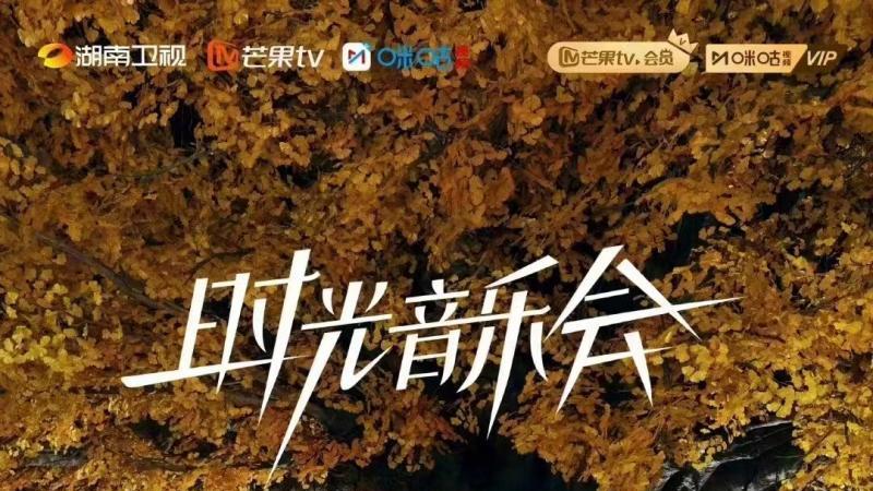 演唱会|音综的尴尬：套路差不多，资源就那些