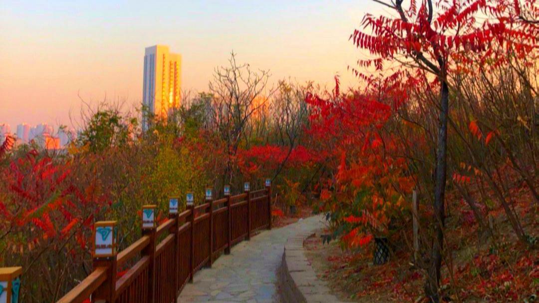 天津市|天津市区最高峰，山上已经秋意渐浓，不要门票适合遛娃拍照赏秋！