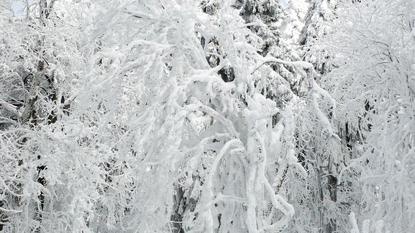 |8月这三个星座，即使经历困难，也能挺过去