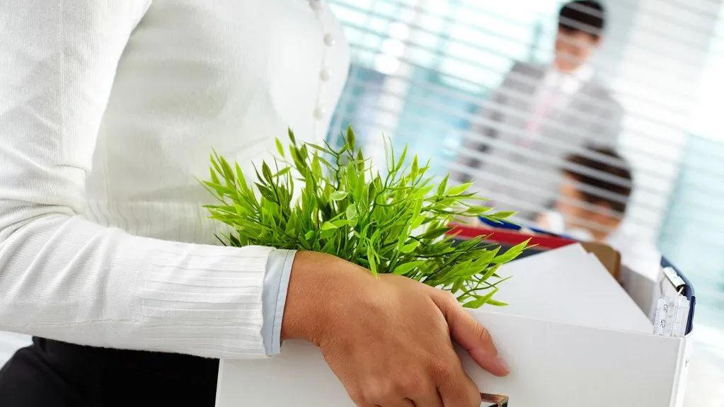 面试|面试官问，上一份工作为什么裸辞