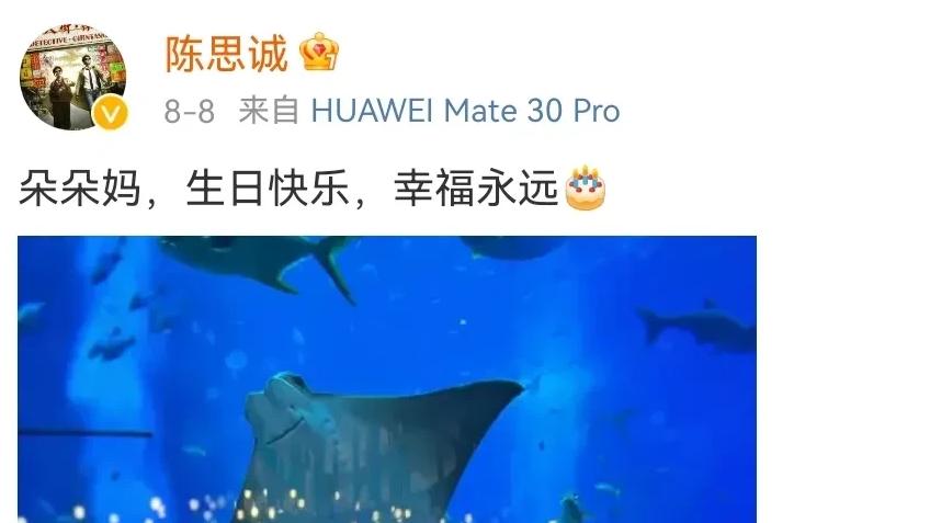 陈思诚|陈思诚，好事将近？大街上拥抱新欢