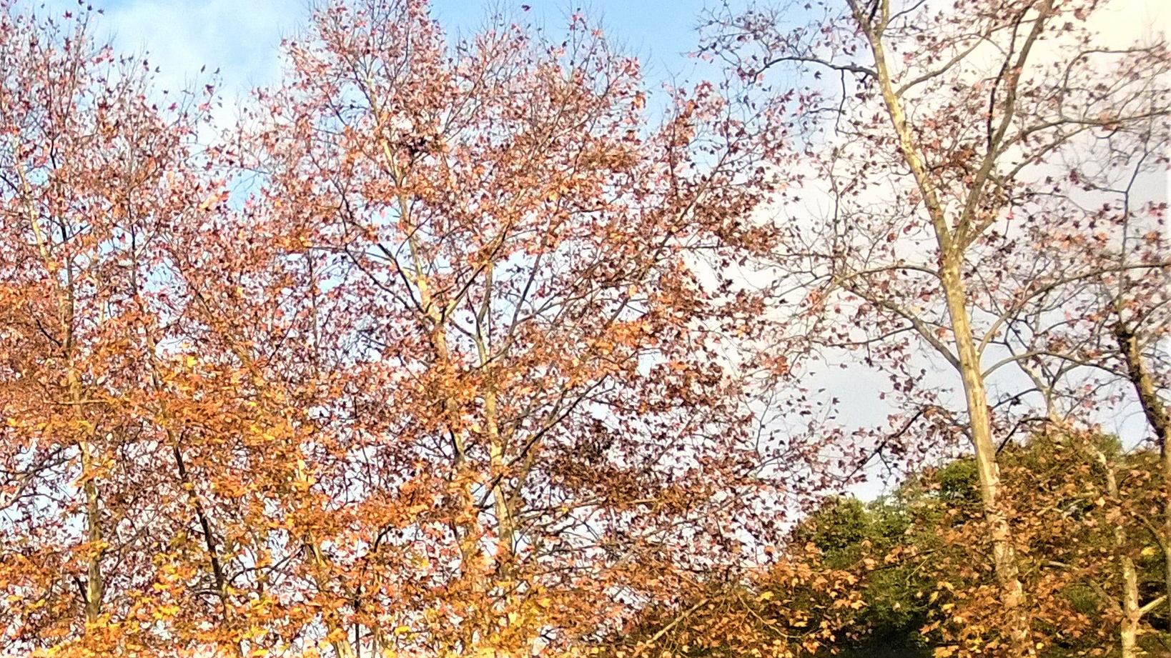 |备胎，也并非毫无是处