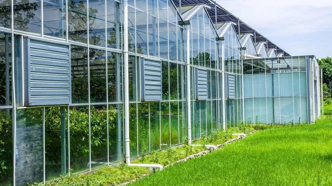 建造一个4860平米玻璃温室大棚的材料及要求