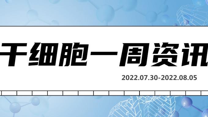 干细胞一周资讯（07.30-08.05）