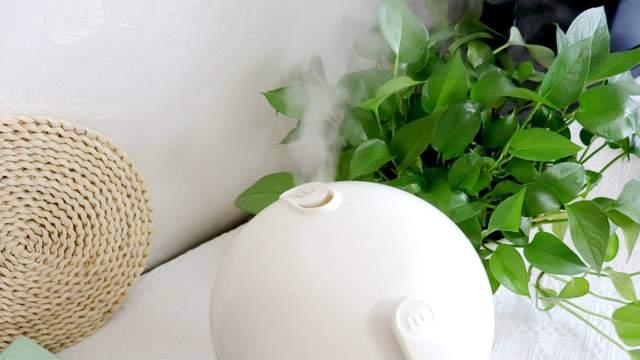 可以除菌的加湿器—摩飞除菌加湿器