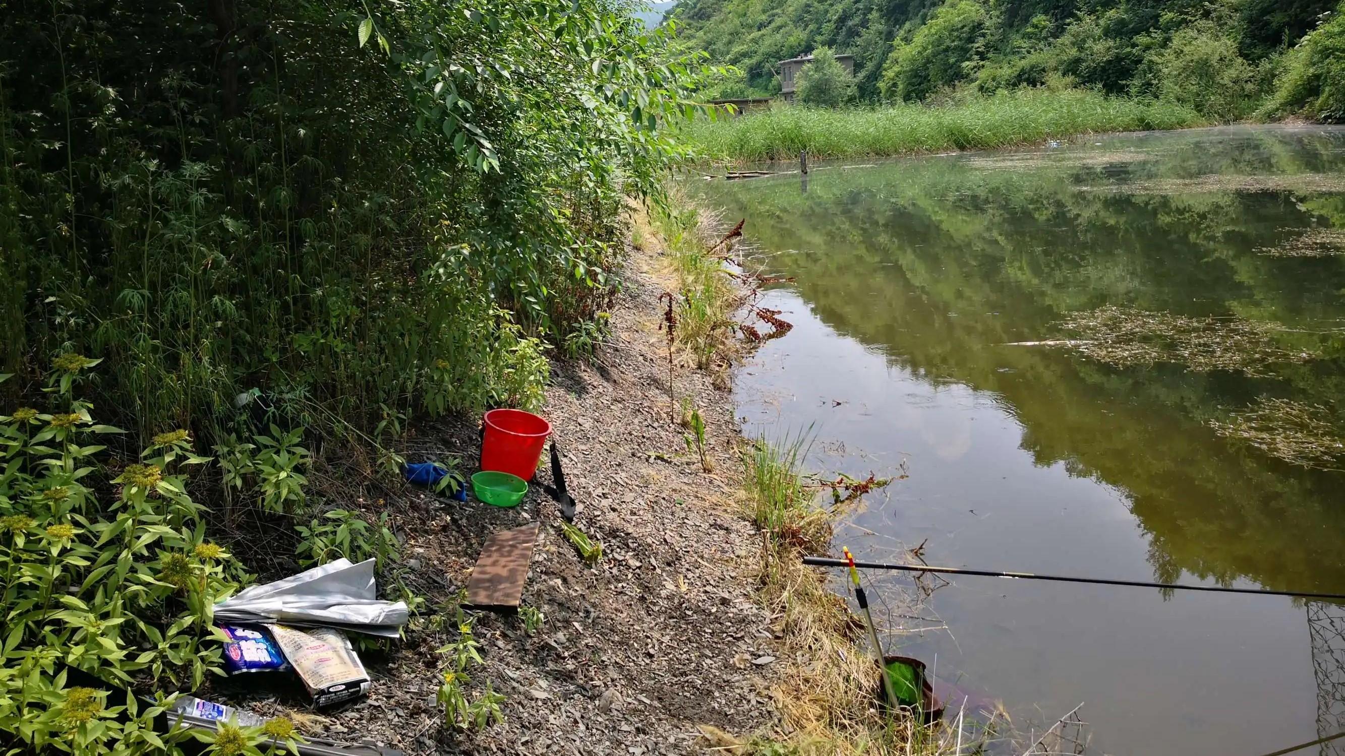 蜂蜜|台钓和传统钓，存在的4个误区，哪个更适合野钓