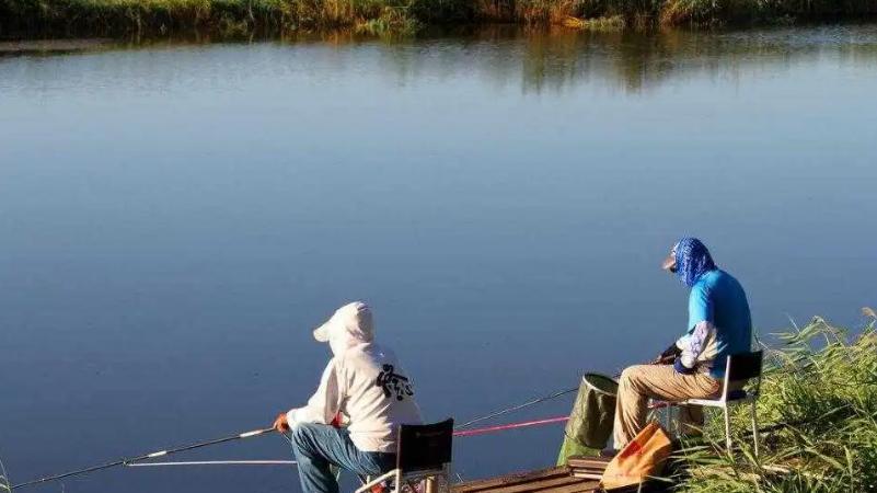 疯狂|冬季野钓遇到这几种天气，鲫鱼吃口很暴躁，请假也要去钓鱼