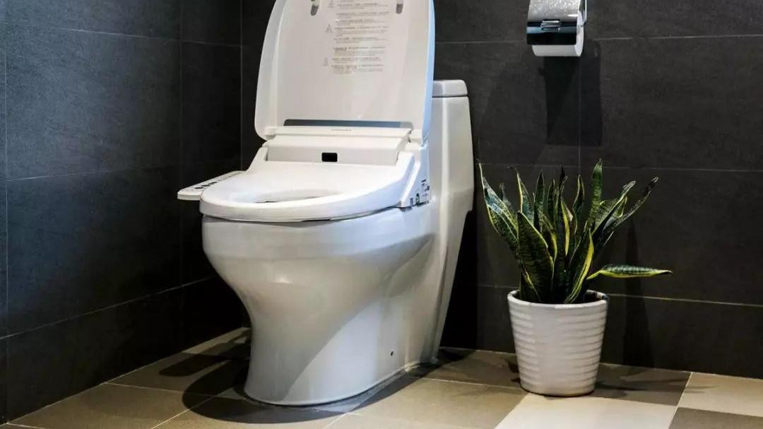 选马桶不能“糊弄”，牢记选购技巧，别听导购瞎忽悠！