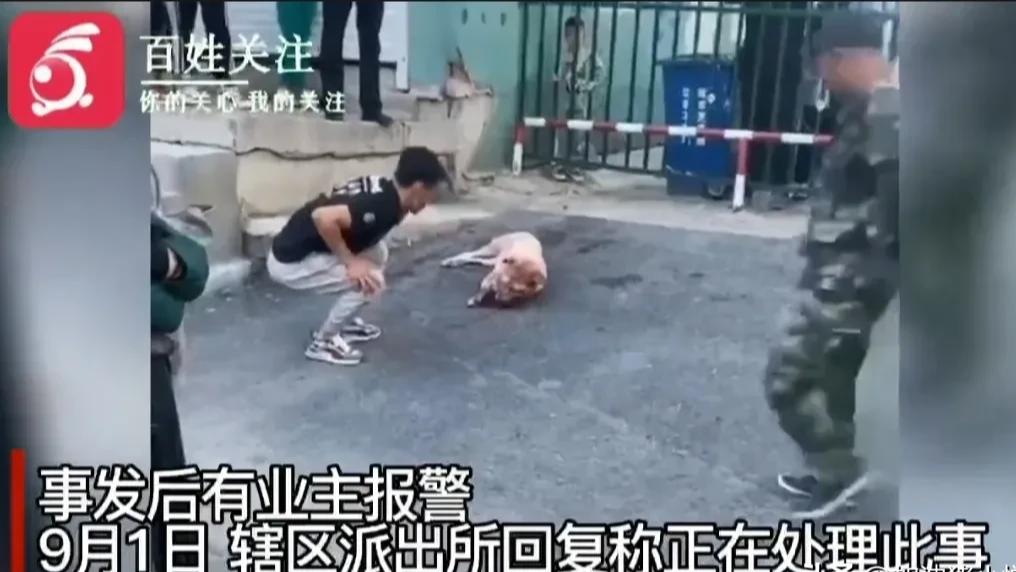 两个男子持棍殴打一只流浪狗，把狗打得头破血流，一女子大哭着制止了他们