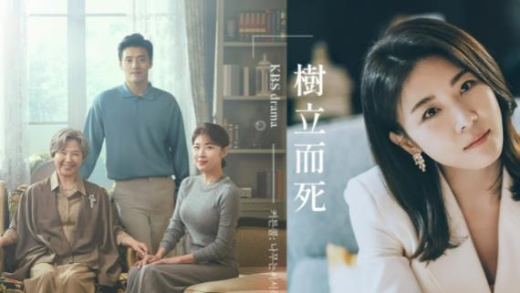 河智苑|今年最好看韩剧是哪部？还没看河智苑的《树立而死》，别早下定论