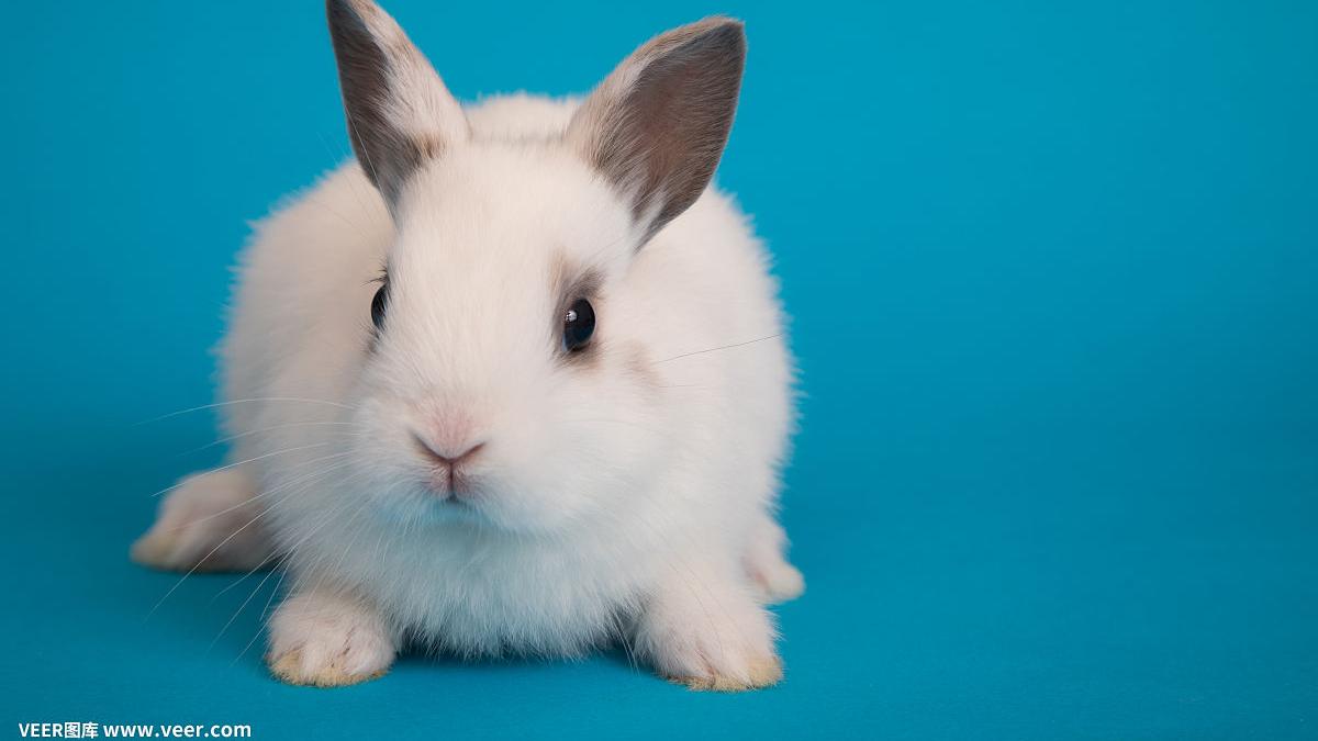 大学|如果上大学有人告诉我这些我会哭着感谢他