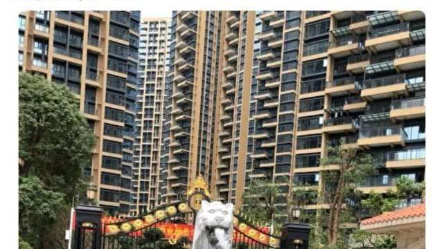 深圳市|大厂程序员发帖：首付300万买了深圳的房子，终于有了自己的窝