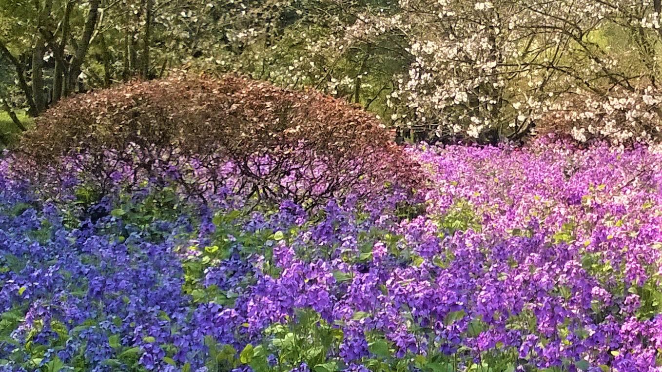 |职场那点事，其实无所谓