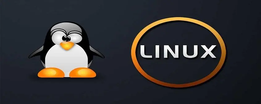 Linux|都说 Linux 稳定，为什么Ubuntu 会崩呢？