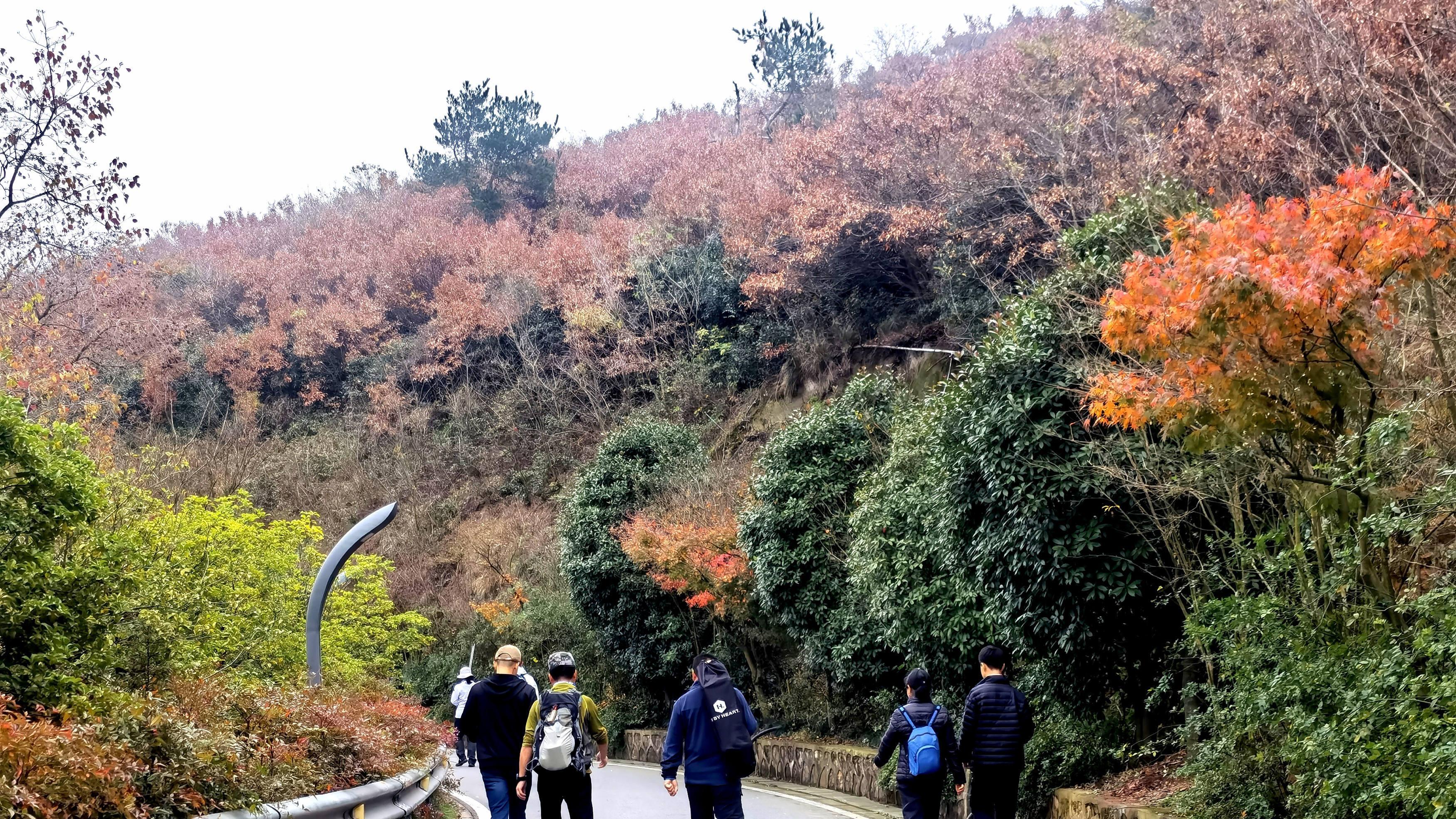 桂林|青山连绵起伏，来苏州高新区，享受一场山间“清肺”之旅