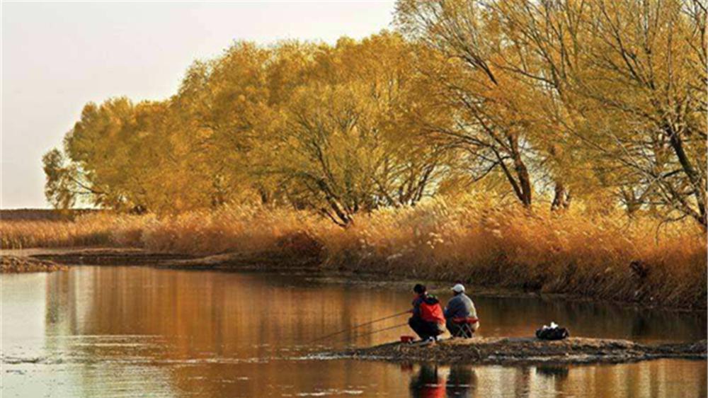 饵料|秋末野钓，什么风向鱼最好钓？看准几个时机，大鱼吃口猛上钩快
