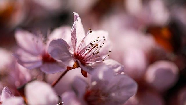 |老领导酒后吐真言：想在职场混得好，要看清8个生存法则，别傻干