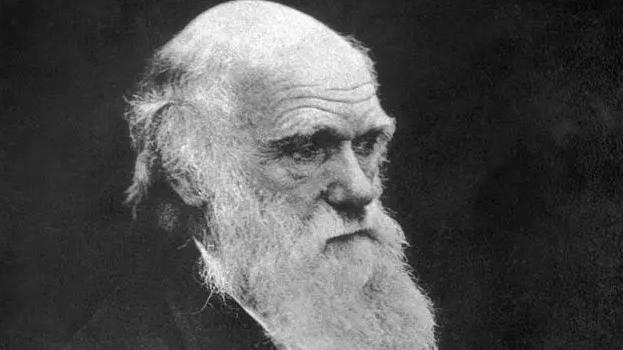 科学界的进化论，为什么能获得普遍认同？为发展提供了方向