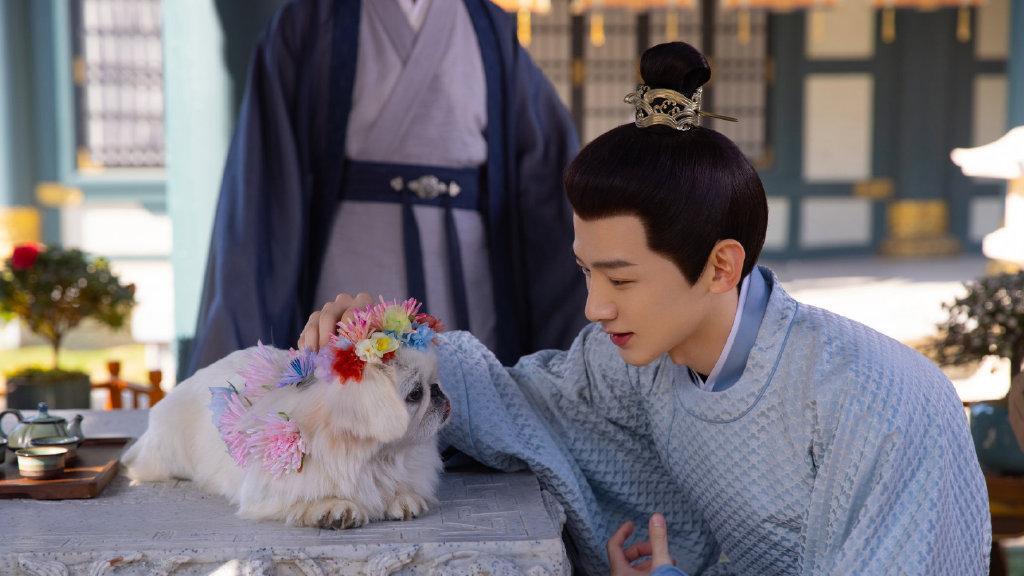 上官婧|卿卿日常：全剧最腹黑的人，不是老二老三，是这个看似无害的女人