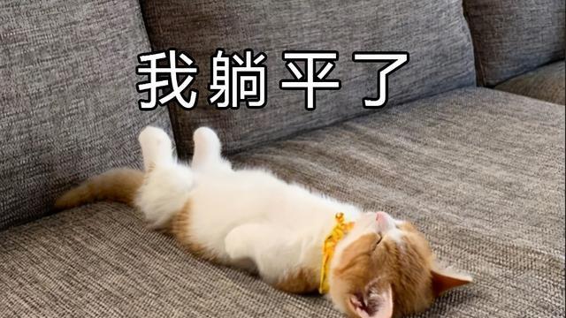 钱江新城|新加坡人多地少但却房价不高，这是为什么？