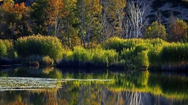 |职场上，与其被动应付上级的安排，不如主动的自立自强