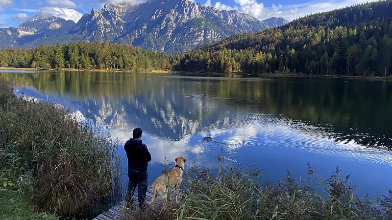 生肖|今年2022年转运成功，被好运包围的生肖