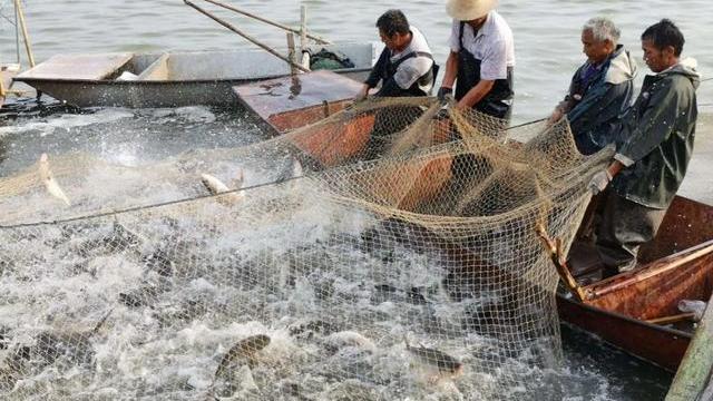 大海为何会涨潮退潮？海水在退潮以后去哪了？看完涨知识了