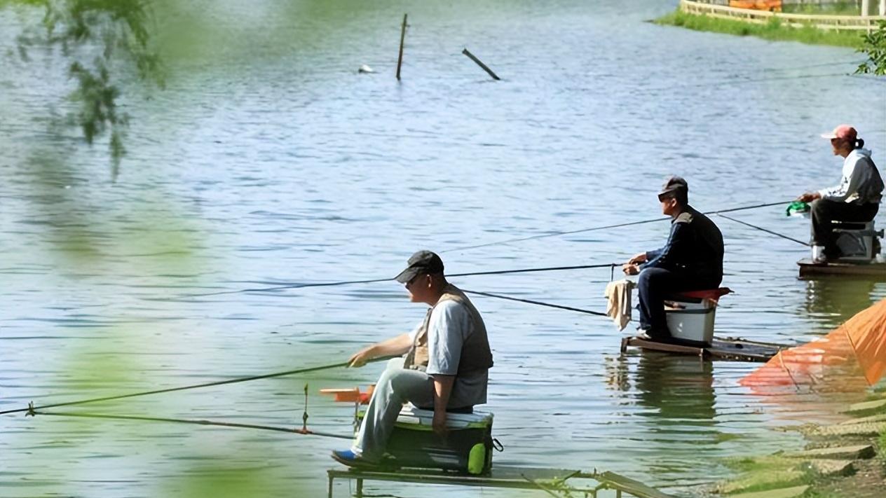 鲢鳙|高温正适合钓鲢鳙，鲢鳙的垂钓方法总结