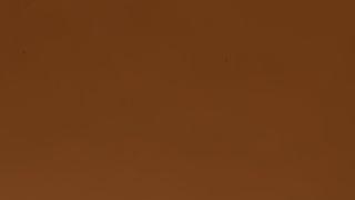 |和田玉兽面把件