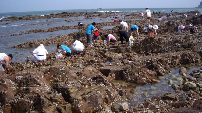 海岛|夏日海岛游异常火爆，海王九岛民宿周末“一房难求”