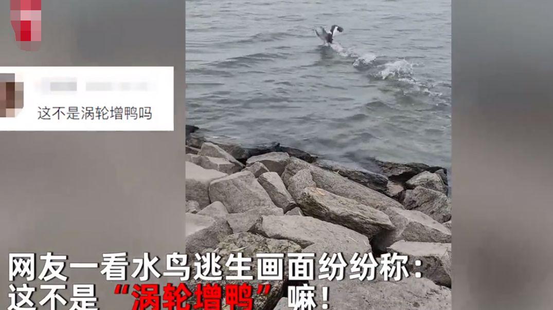 国语|男子河边钓鱼，意外钓上一只水鸟，看清模样后，吓得扔掉鱼竿
