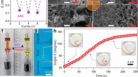 |光氧化还原介导设计和调节金属配位水凝胶用于可编程软 3D 打印执行器