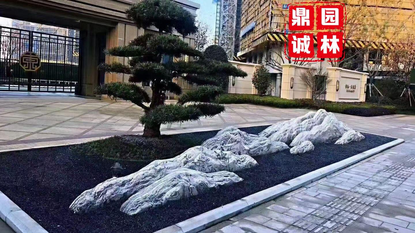 庭院装饰环境景色之美 砾石可以多个方面用途
