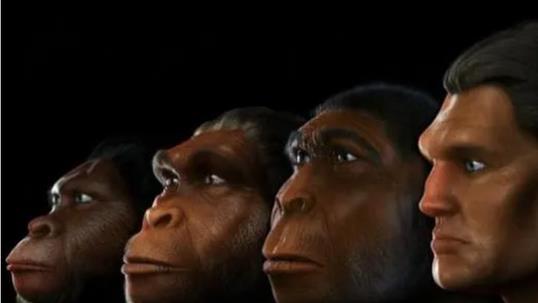 人类进化链上缺失的一环被发现，人类起源问题有望盖棺定论