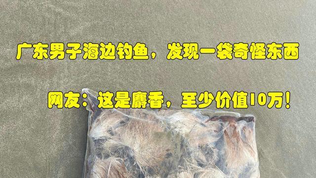 麝香|麝香？广东男子钓鱼发现一袋奇怪东西，网友：至少价值10万