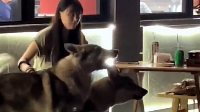 四川一女子“火了”，深夜带俩“保镖”吃烧烤，只为防“陈继志”