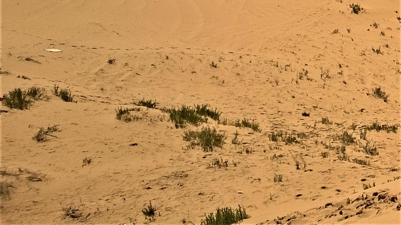 |人在职场，品很重要