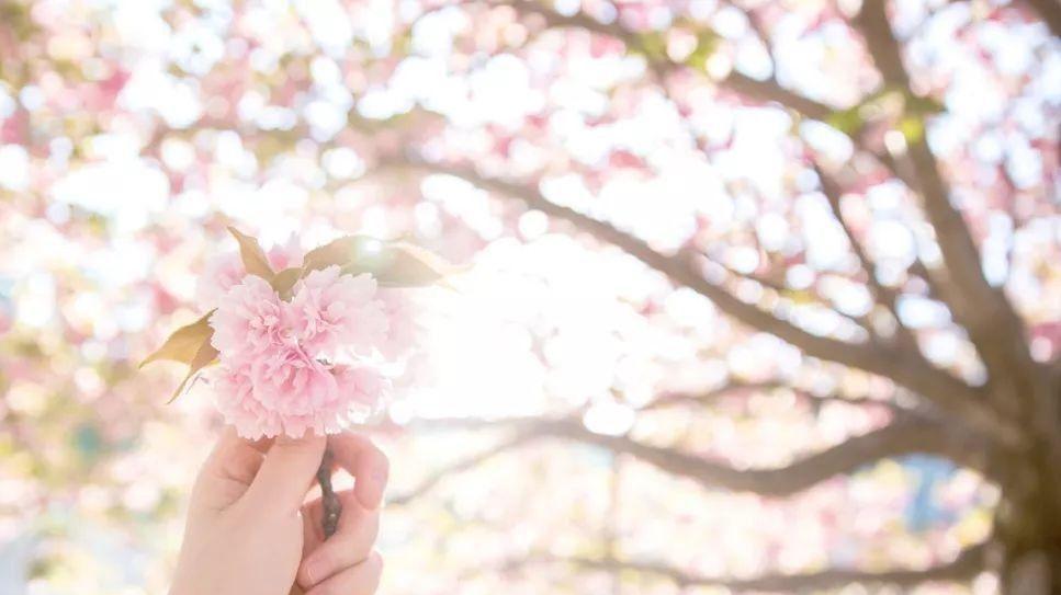 社会养老|知世故而不世故，要明白这7个道理