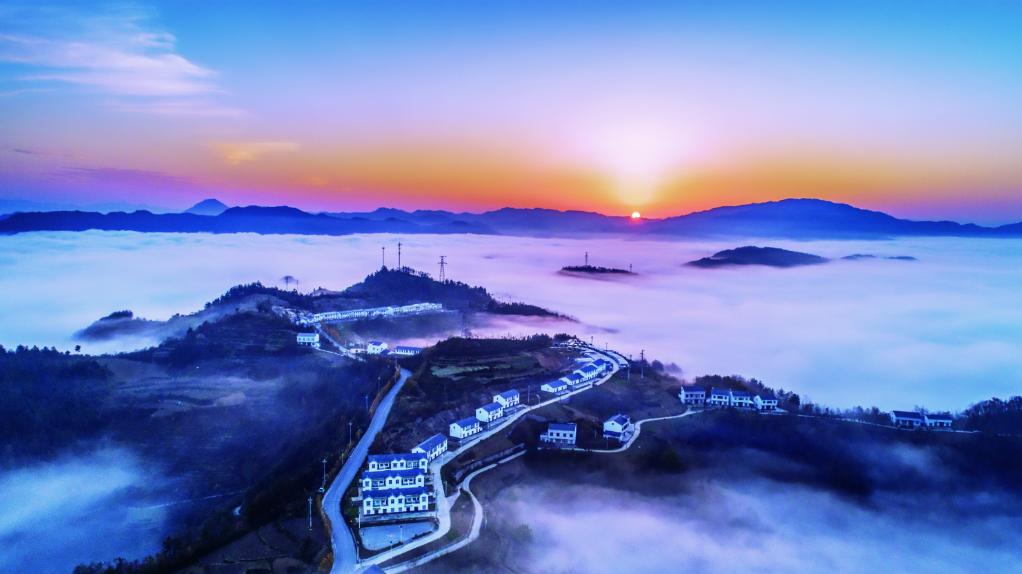 茶园|你打卡竹溪了吗？西安出发四小时来场肆意之旅！