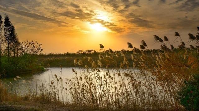 海口|职场人都知道能力是重要，但又不是决定性因素