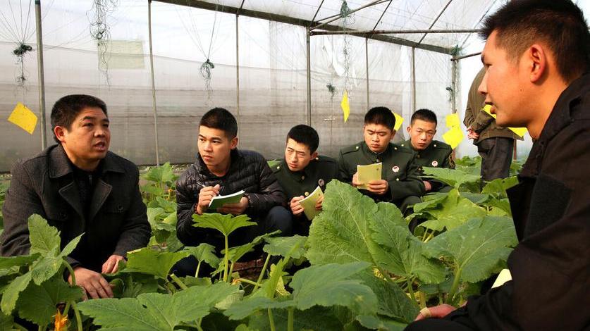 求职|贵州战友幸福了！专项招聘、技能培训、创业就业，80多项福利