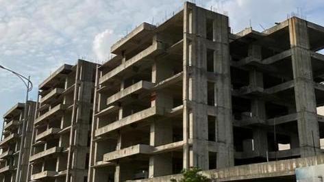 玉林|看不下去了，割韭菜都割到家门口了！