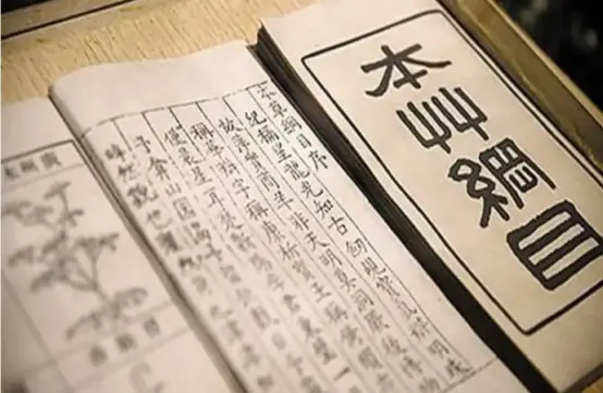 蜈蚣的克星竟然是普通的公鸡，公鸡的段位有多高，答案让你想不到
