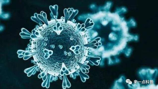 盘点历史上十二种致命病毒（上）