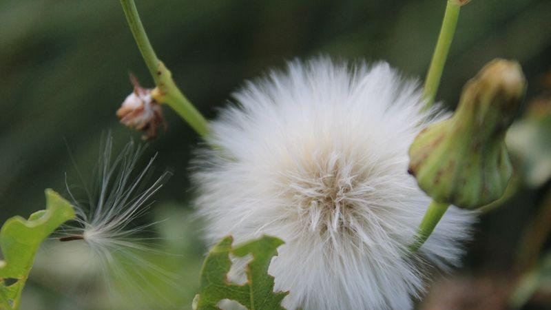 |函数y=(4x+1)^2(x+11)的主要性质及其图像